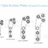 Evolox Spinnaker TPLO Polyaxial Proximal Hole