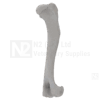 Canine Humerus Medium