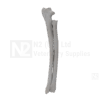 Canine Radius and Ulna Medium