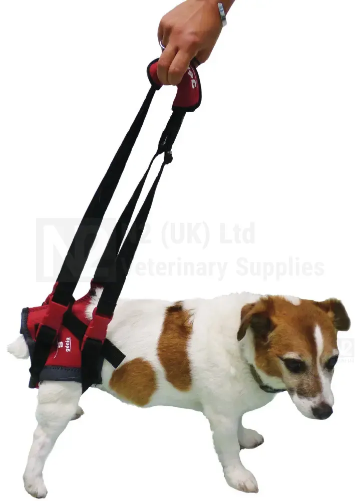 Handy Canis Hind Legs Harnesses