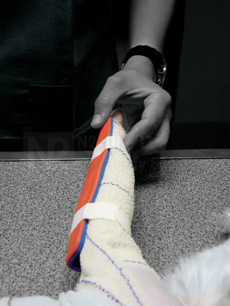 Roll splints - Image 2