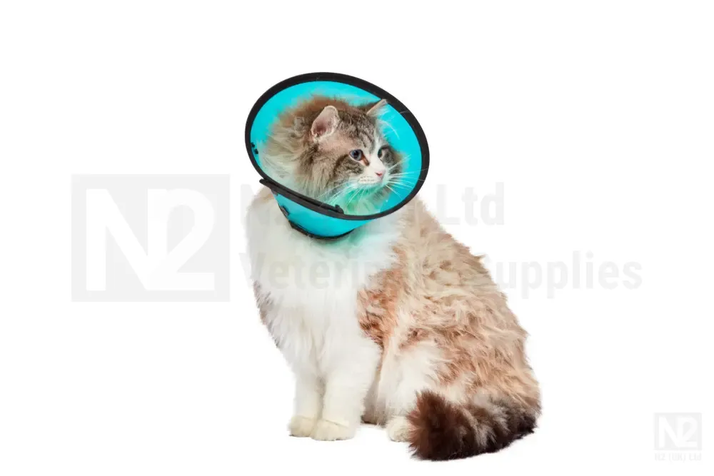 Smart Collars