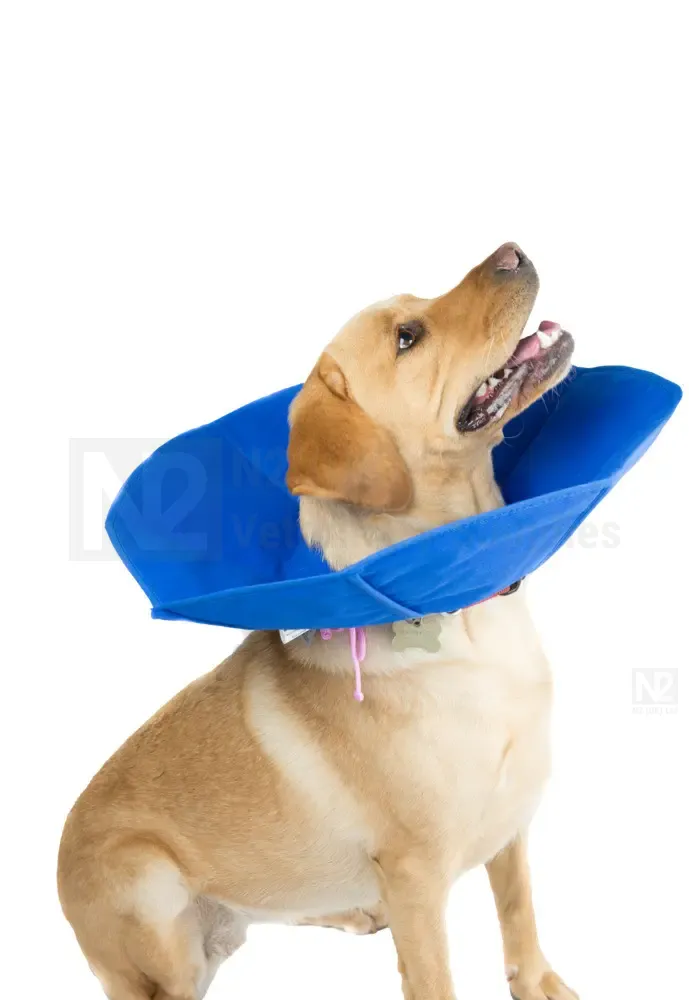 Soft E Smart Collars