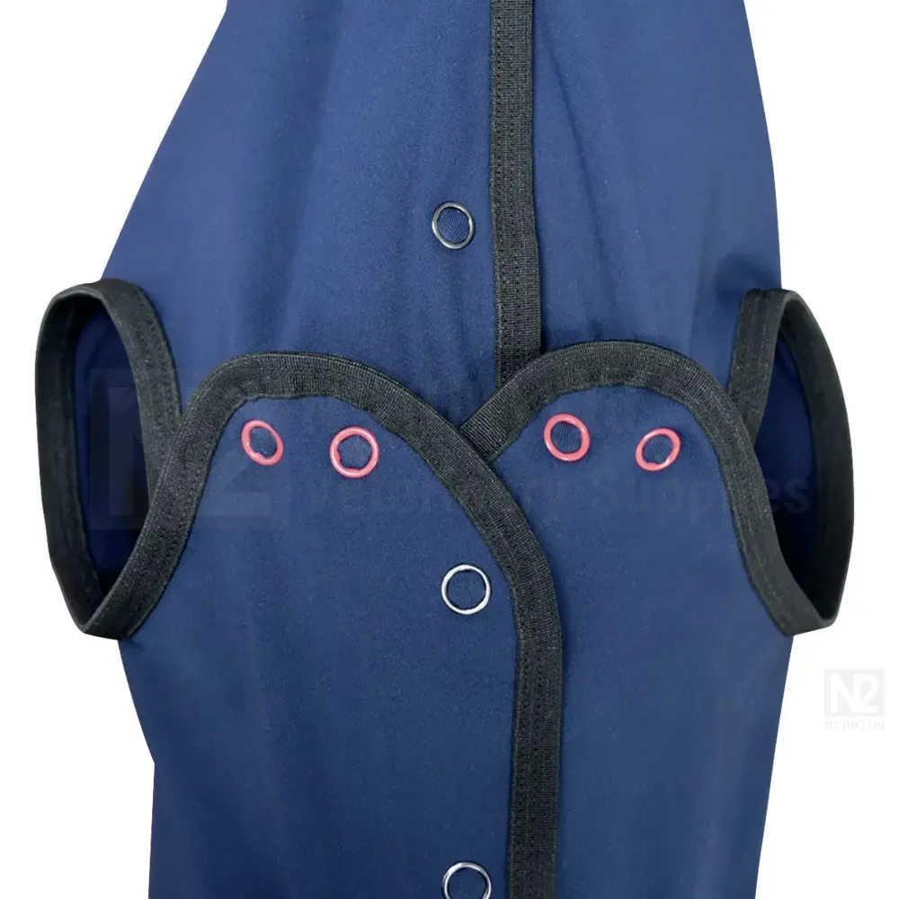 Vetbody Dog Protective Body - Image 2